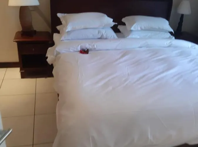 Cocoon Apartamento